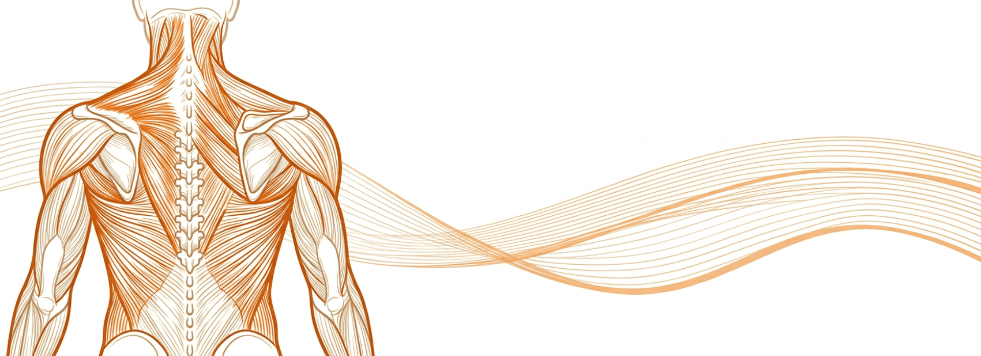 Banner background